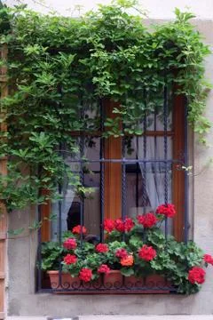 Window with flower-box Stock Photos