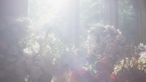 Window flower garden and lighting Stock Footage 128872070