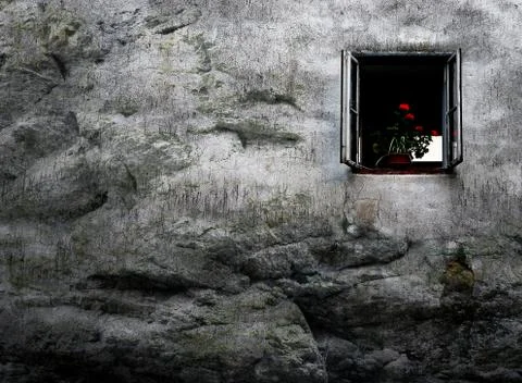 Window with a flower on the old wall Stock Photos