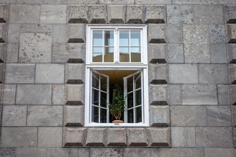 Window with a flower in the state castle Foto stock