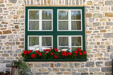 Window with flowering geraniums Stock Photos