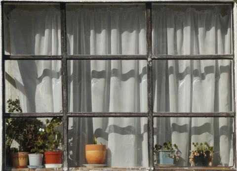 Window with flowerpots Stock Photos