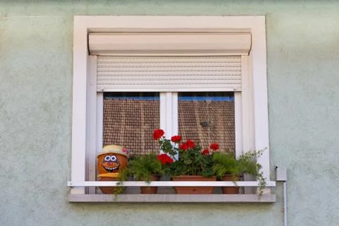 Window. Flowers on the . Face of pumpkin  a windowsill.   with shutters. The Stock Photos