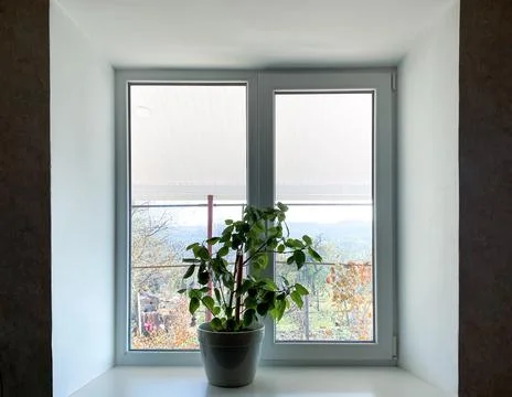 The window with flowers in the middle Stock Photos