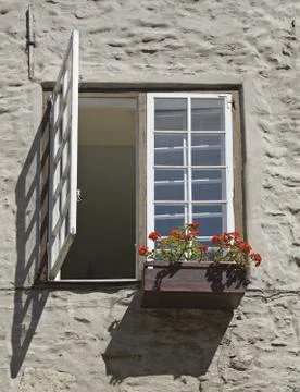 Window with flowers Stock Photos