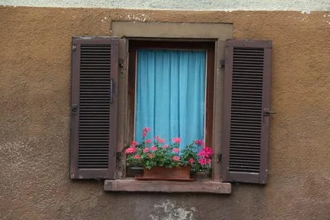 Window with flowers Stock-Fotos