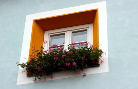 Window with flowers Stockfoto's