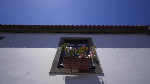 Window with flowers on the wall of an old spanish house. Exterior of European Stock Footage 117171185