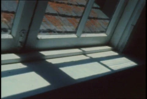 Window Stock-Footage 356578