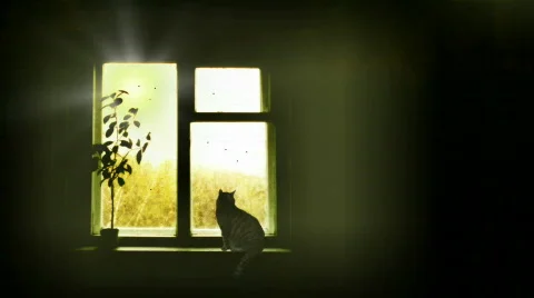 Window Stock Footage 576755