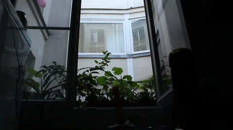 Window Stock Footage 4285729
