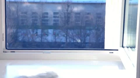 Window Stockbeeldmateriaal 21785792