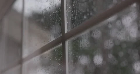 Window Video stock 219818490