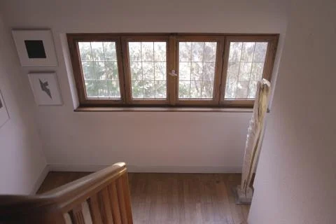 Window to Forest Stock Photos