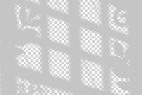 Window frame and foliage shadow overlay on a neutral background Stock Photos