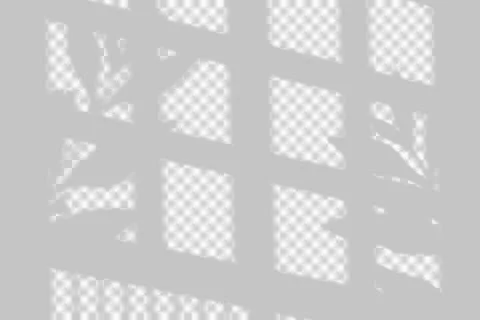 Window frame and plant leaf shadow overlay on a neutral surface 스톡 일러스트