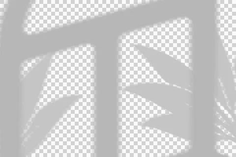 Window frame and tropical leaf shadow overlay for creative photography Illustrazione stock