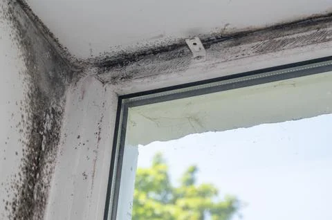 Window frame covered with mold and black fungus spreading across top edge. .. Stock Photos