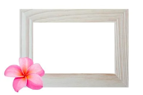 Window frame isolated on white background with flower Stock Illustration