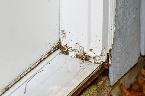 Window Frame Rot Water Damage Repair Stock Photos