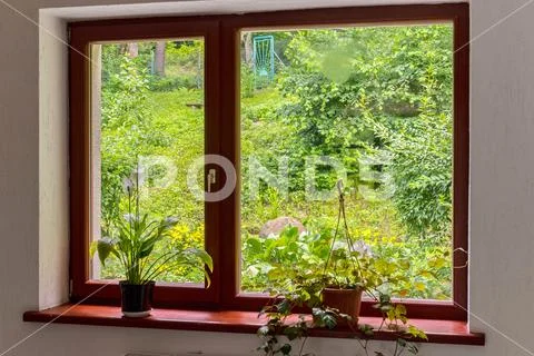 Window frame with transparent glasses of green flowers on the windowsill and Stock Photos