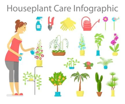 Window gardening ifographic elements Illustrazione stock