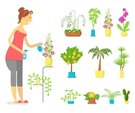 Window gardening ifographic elements Illustrazione stock