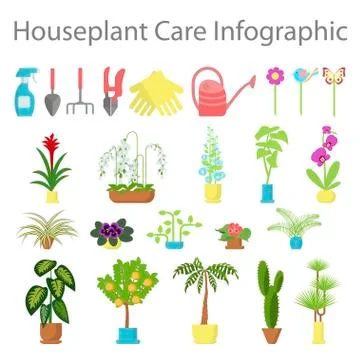 Window gardening ifographic elements Illustrazione stock