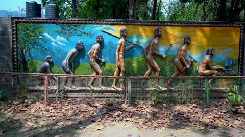 A Window into Generations: Humans Then and Now Stock Footage 313566607