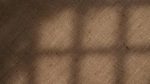 Window grid and tree leaves silhouette shadows motion on jute texture background Stock Footage 233768808