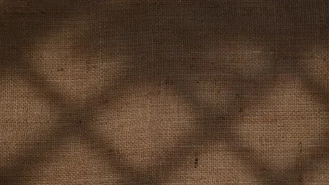 Window grid and tree leaves silhouette shadows motion on jute texture background Vídeos de archivo 235126104