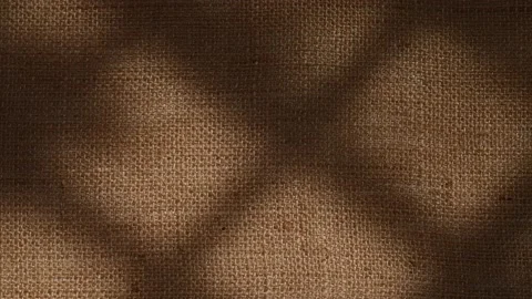 Window grid and tree leaves silhouette shadows motion on jute texture background Vídeo Stock 237059785