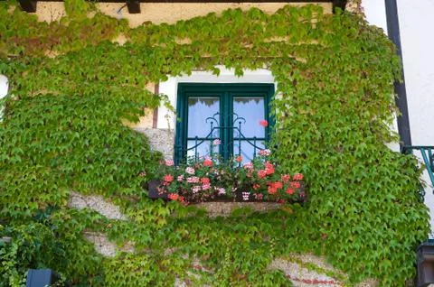 Window of a house in Austria Stock Photos