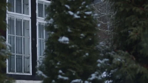 Window of house by evergreen tree with fresh snow falling, Exterior Detail Stock Footage 146798062