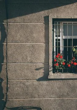 Window in the house Stock Photos