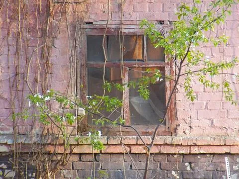 Window of the house Stock Photos