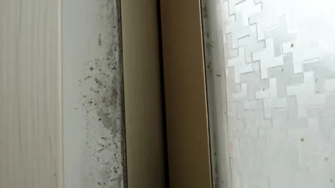 A window infested with mold Stock Footage 270963813