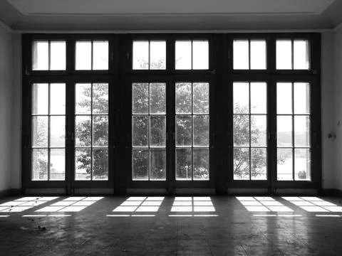 Window with Light Reflection and Tree in Backlight Stock Photos