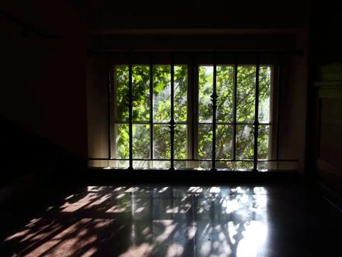 Window with Light Reflection and Weed in Backlight Stock Photos