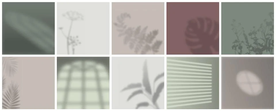 Window light shadows set. Silhouettes of plants and window frames on pastel イラスト素材