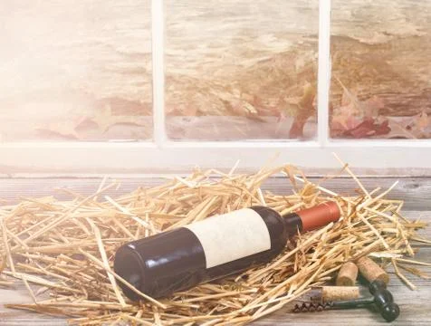 Window light on wine bottle resting in straw Stock Photos