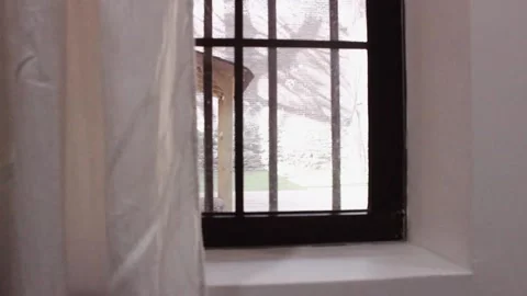 Window looking into the backyard from bed on a normal day Stock Footage 136204542