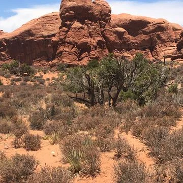 Window Loop trail in Arches National Park, Moab Stock Photos