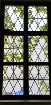 Window with metal bars. Outside a window with a metal grill, green leaves of Foto stock