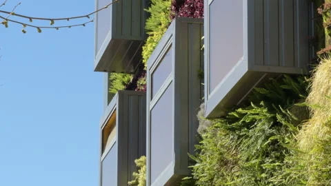 Window in modern building with vegetation walls. Green environment Stock Footage 104844546