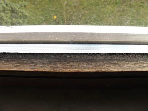 Window with mold fungi Stock Photos
