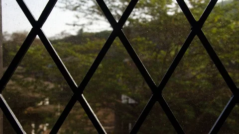 Window mosquito Stockbeeldmateriaal 106211383