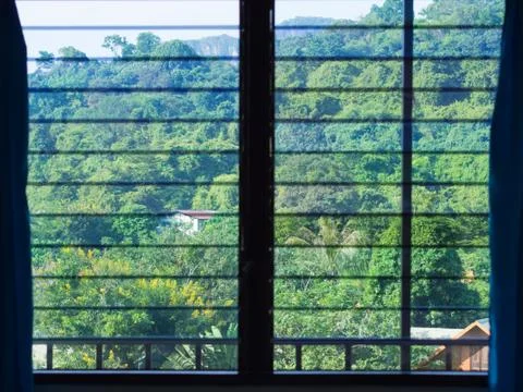 Window to nature Stock Photos