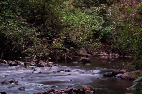 Window to Nature Stock Photos