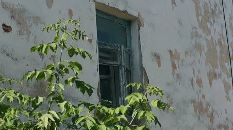 Window of an old building overlooking trees Video stock 57324798